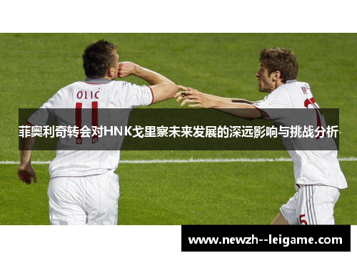 菲奥利奇转会对HNK戈里察未来发展的深远影响与挑战分析