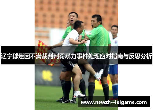 辽宁球迷因不满裁判判罚暴力事件处理应对指南与反思分析