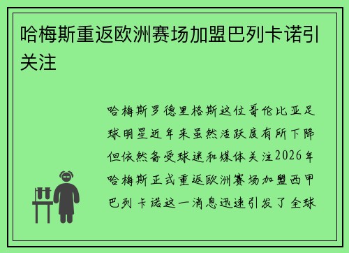 哈梅斯重返欧洲赛场加盟巴列卡诺引关注 哈梅斯重返欧洲赛场加盟巴列卡诺引关注