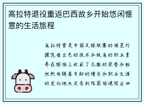 高拉特退役重返巴西故乡开始悠闲惬意的生活旅程